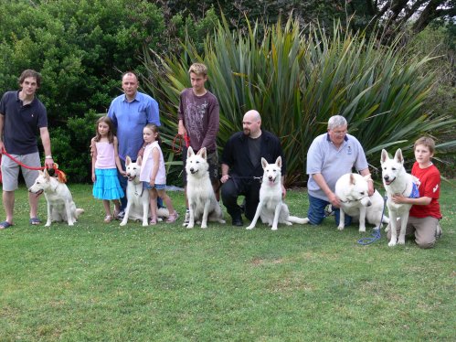 White Shepherd Events