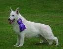 super-ukc-may2004r.jpg