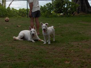 Kuali and Huaka