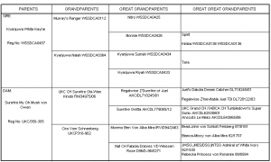 Freyja's Pedigree