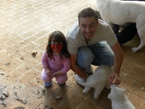 Tiger Lilly SAM 0144 300x225 And then the house was quiet Puppies go home